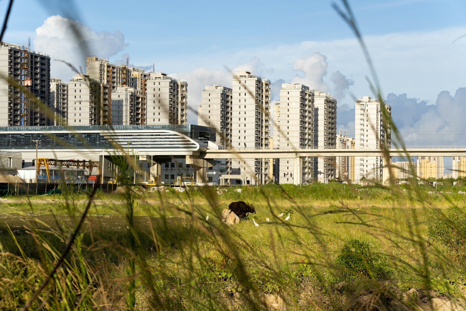 Eco Villages: The Next Frontier in Sustainable Real Estate Development
