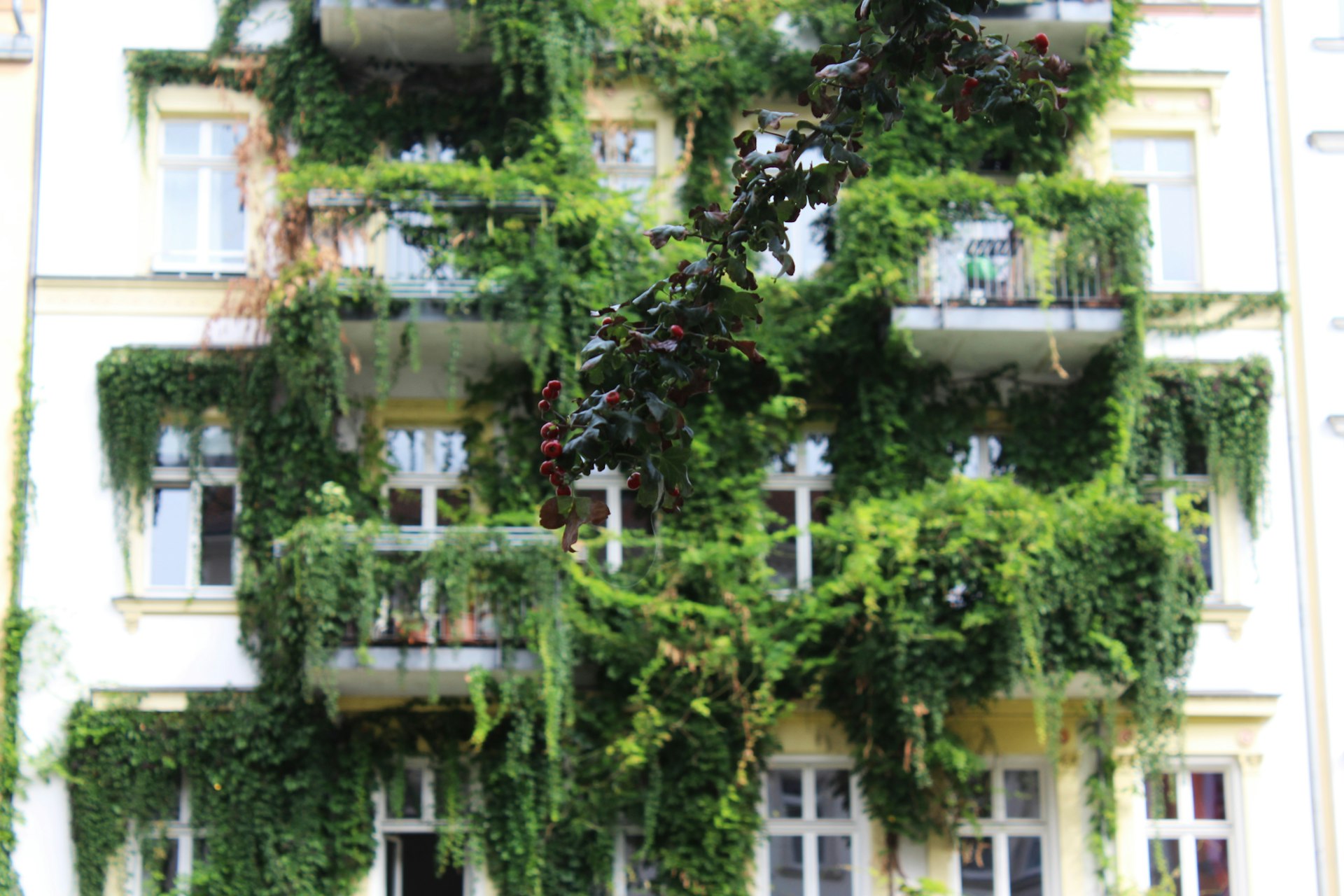 Discover the Best Eco Lodges and Green Hotels Worldwide: Your Guide to Sustainable Travel