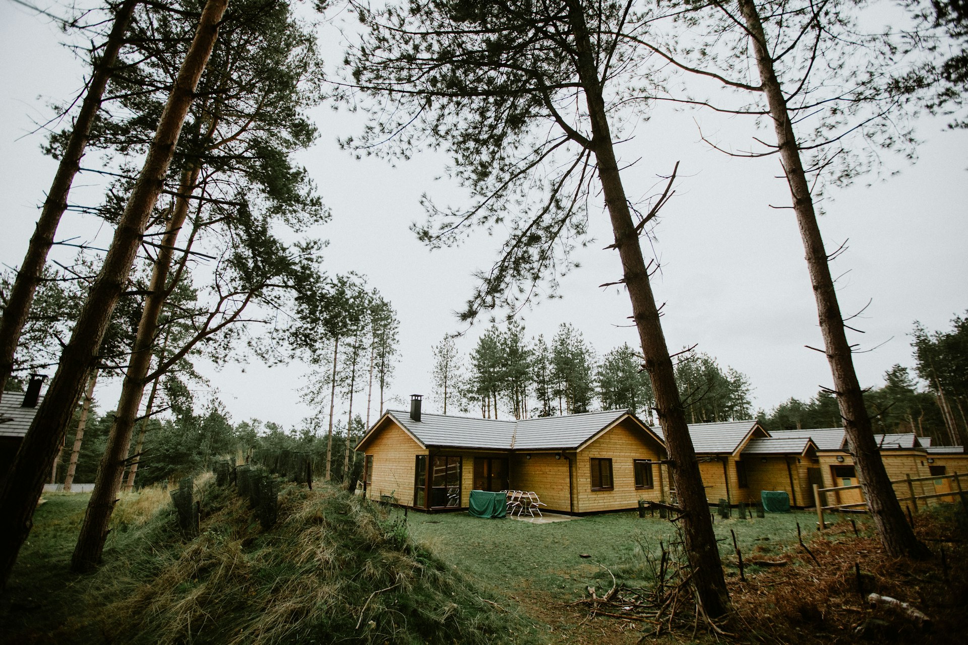Discover Sustainable Escapes: Eco Lodges and Remote Green Resorts Worldwide